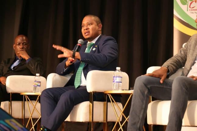 Minister of Agriculture Floyd Green speaking at a plenary session at the 20th Caribbean Week of Agriculture at the Ocean Coral Spring Resort in Trelawny on September 30.