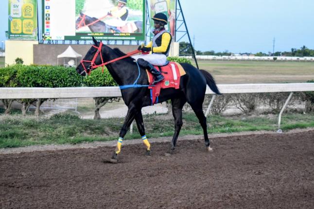 BOSS MAN, ridden by Dane Dawkins, walks back to the winners’ enclosure after taking the fifth running of the Hubert ‘Chinna’ Bartley Memorial Trophy (Division Two) over seven furlongs at Caymanas Park on Sunday, June 28.