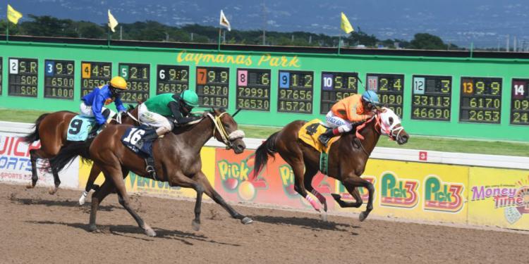 caymanas track